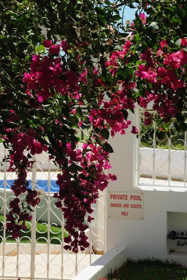 Renovated Vale Do Milho Golf Apartment With Sea View Carvoeiro  Carvoeiro (Lagoa)